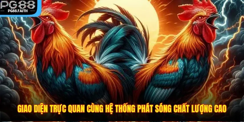 Đá Gà PG88 – Sân Chơi Giải Trí Đỉnh Cao Cho Các Kê Thủ 2025 4 Giao diện trực quan cùng hệ thống phát sóng chất lượng cao