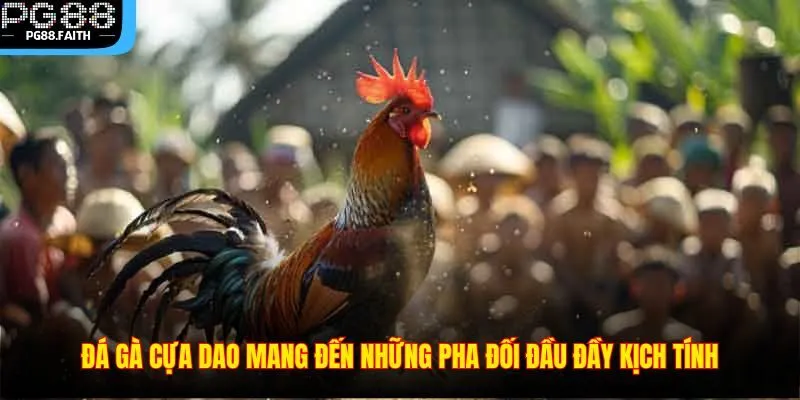 Đá Gà Cựa Dao – Hình Thức Chọi Gà Kịch Tính Sôi Động 2025 3 Đá gà cựa dao mang đến những pha đối đầu đầy kịch tính